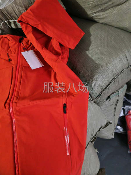 沖鋒衣，伽馬-第2張圖片