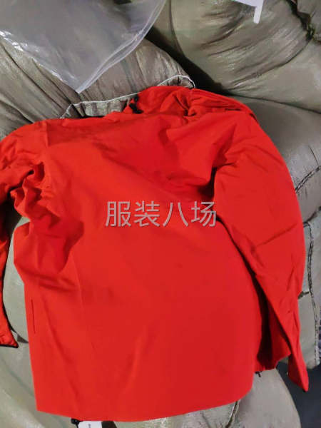 沖鋒衣，伽馬-第4張圖片