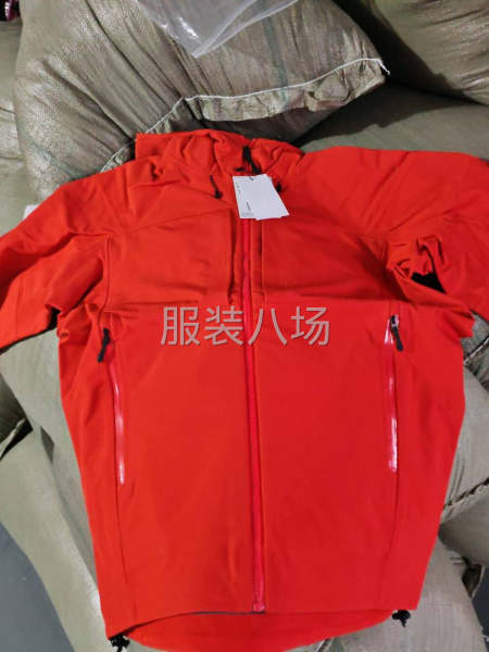 沖鋒衣，伽馬-第1張圖片