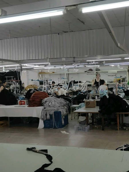 高薪招聘高薪招聘-第1張圖片