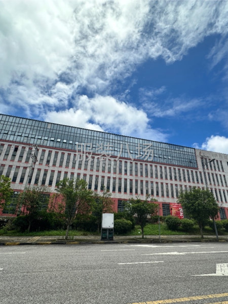 服装厂流水作业，按工序要求进行生产-第5张图片