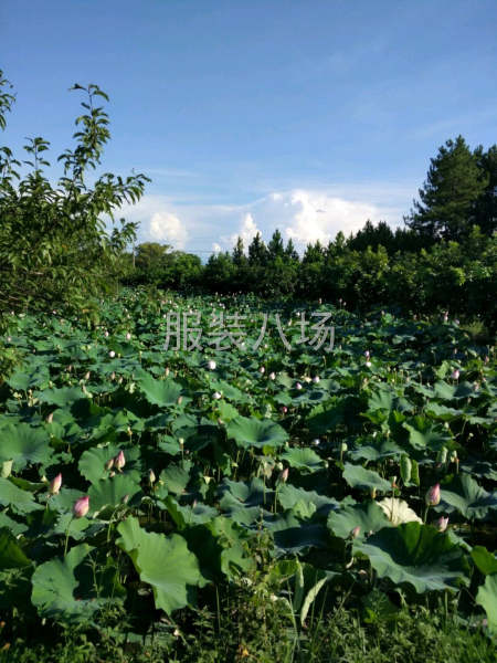 在江西赣州3人，毛货不做-第1张图片