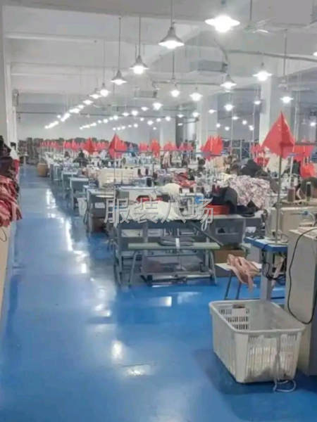 20年服装加工经验，期望长期合作-第2张图片