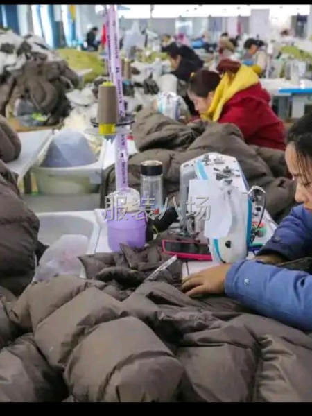 承接来料加工，-第2张图片