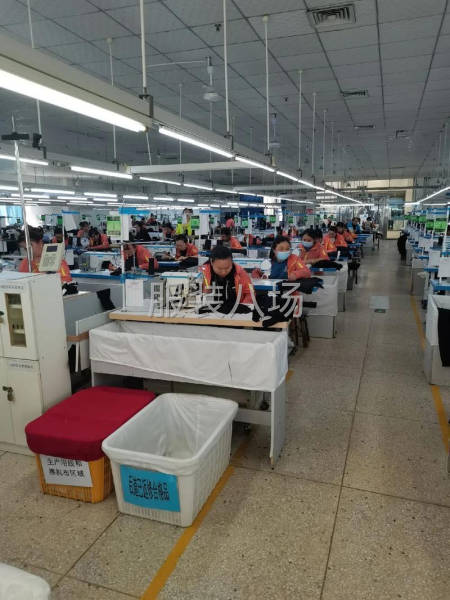 50-100人加工厂承接订单-第1张图片