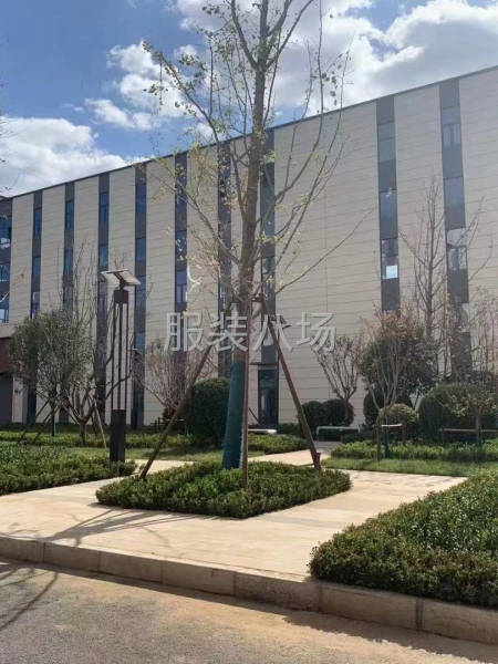 縫紉班長(服裝)-第1張圖片