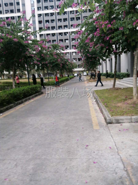 現在針織圓領衫，招打邊3名，平車4名-第2張圖片