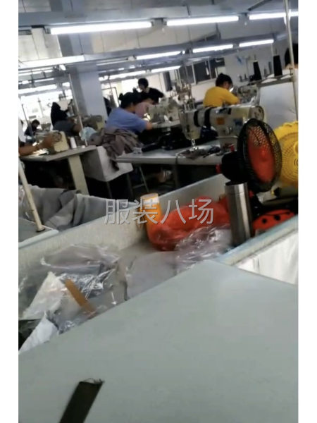 精加工各類時裝-第2張圖片