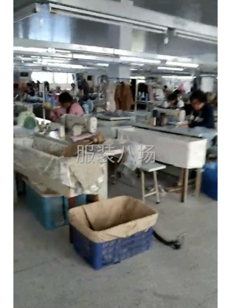 精加工各類時裝-第1張圖片