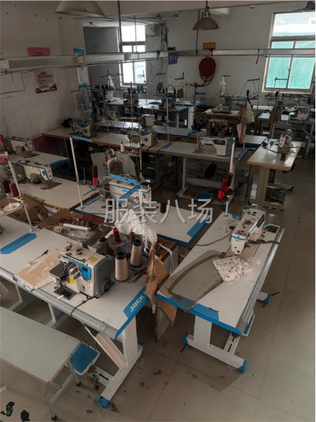 常年無淡季-第1張圖片