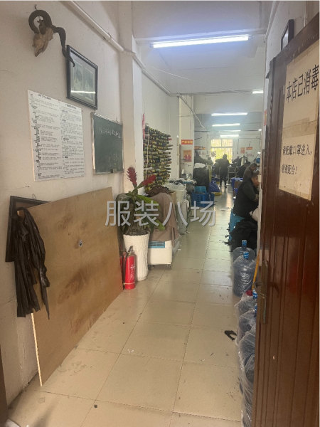 手脚快 1万不成问题-第1张图片