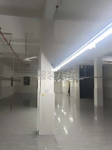 厂房350+14个房间，全新装修，设备进场开工-第2张图片