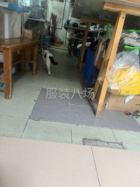 工作室承接版衣 小單-第1張圖片