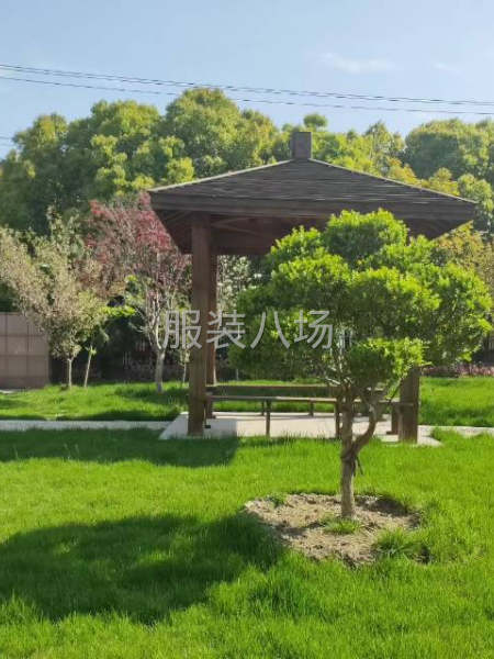 招聘熟練縫紉工50名-第2張圖片