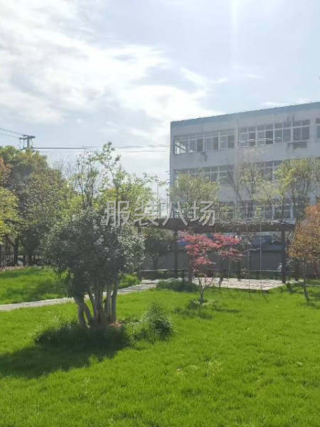 招聘熟練縫紉工50名-第3張圖片