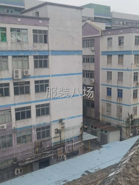 生产中的制衣厂出租转让-第1张图片