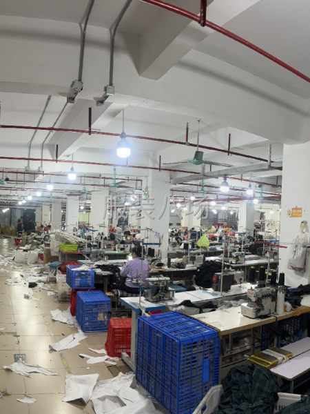 承接国内外订单，清加工，包工包料-第1张图片