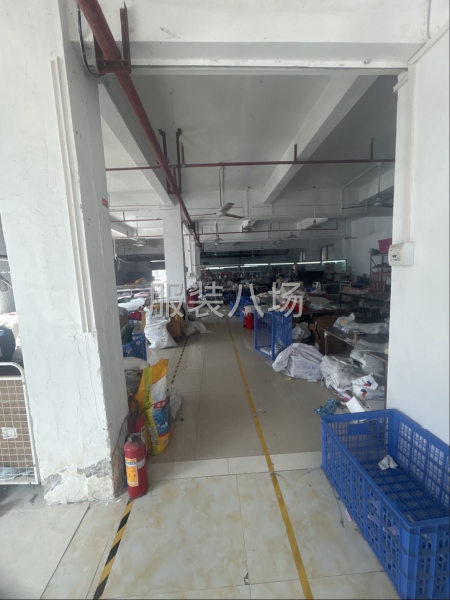 本廠出貨快，質量保證-第1張圖片