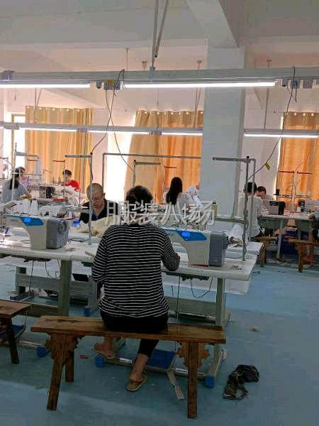 鑫鑫衣悅服裝有限公司-第3張圖片