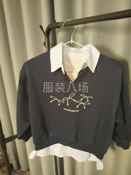 安陽晨盛服飾有限責任公司-第1張圖片