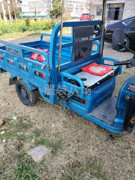 去年下半年換的電瓶，能跑60公里里-第2張圖片