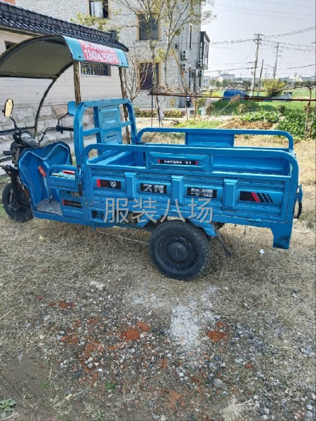 去年下半年換的電瓶，能跑60公里里-第1張圖片