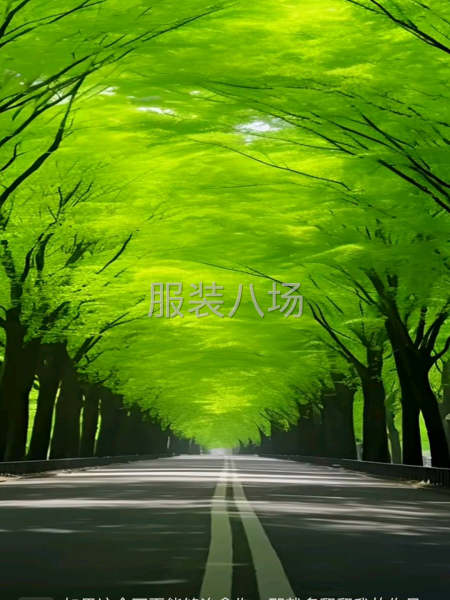 二樓住房出租-第1張圖片