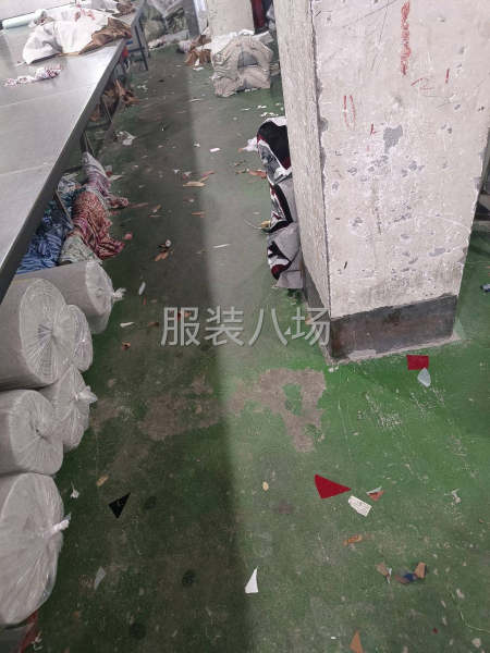 有打底衫   衬衣领等裁片-第1张图片