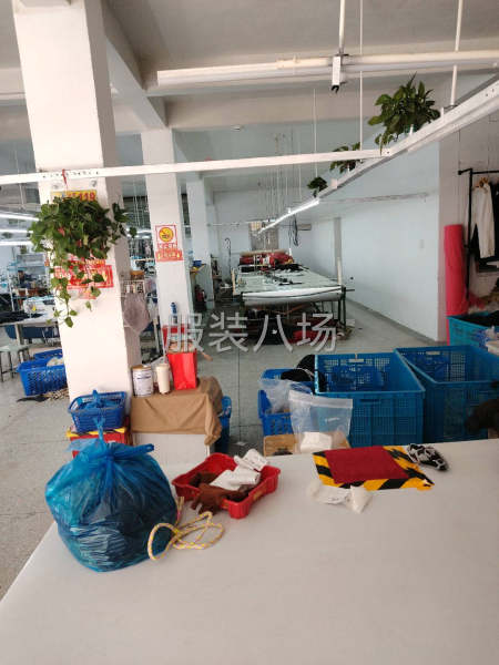 專業(yè)女褲加工-第3張圖片