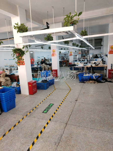 專業(yè)女褲加工-第2張圖片