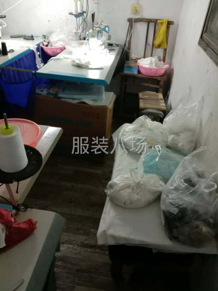 家庭团队组合-第4张图片