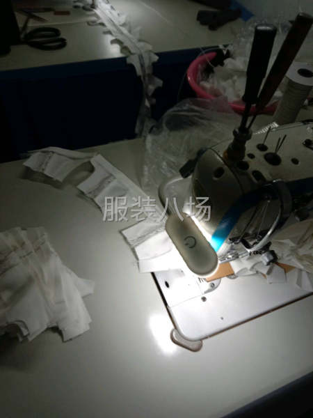 家庭团队组合-第1张图片