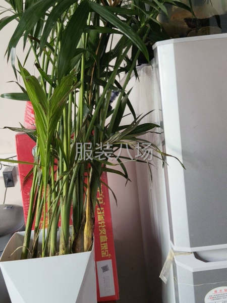 招电商直播穿版-第1张图片