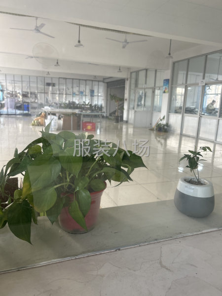 诚接加工，可裁剪到包装结束-第1张图片