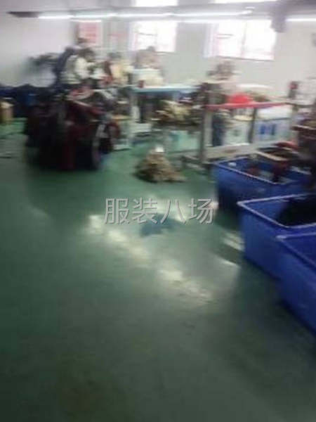 货源充足，工资准时发放-第1张图片