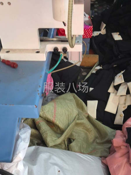 货源稳定，欢迎各位来共赢-第1张图片