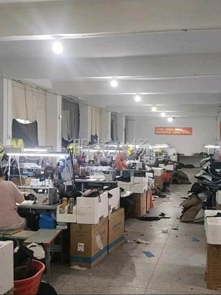 专业生产单衣，棉衣，羽绒服，-第8张图片