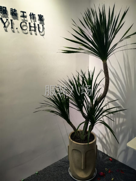 欢迎家人回家-第2张图片