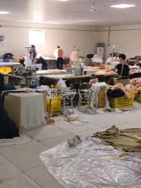 大量接单，固定30人-第7张图片