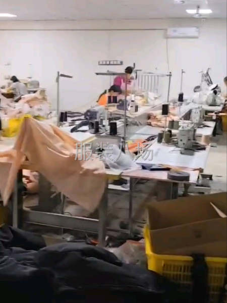 大量接单，固定30人-第5张图片