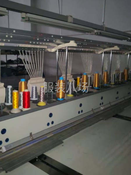 8头样板电脑绣花机转让-第2张图片