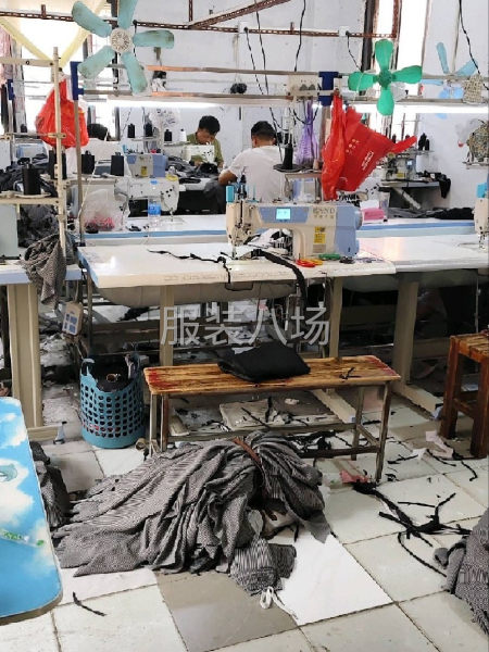 整件夫妻搭档招一对技术好，招长工，单价优常年有货，毛货勿扰-第4张图片