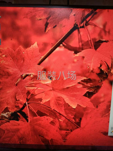寻找长期合作的服装加工厂-第1张图片