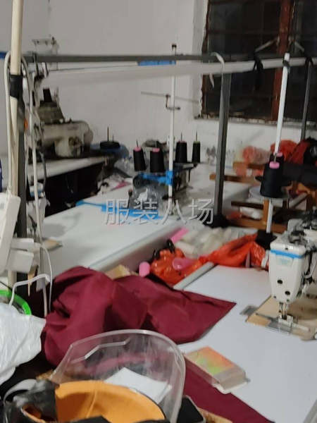 专业女裤裁片-第1张图片