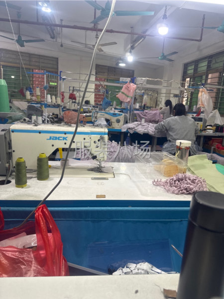 主播，运营-第1张图片