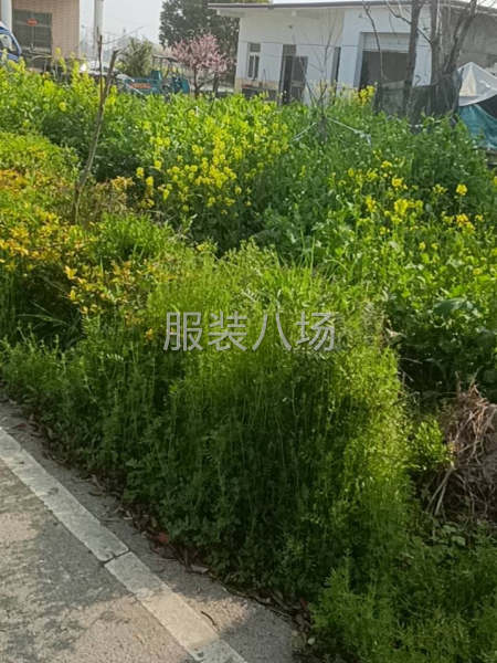 自由，工资高，不累-第1张图片