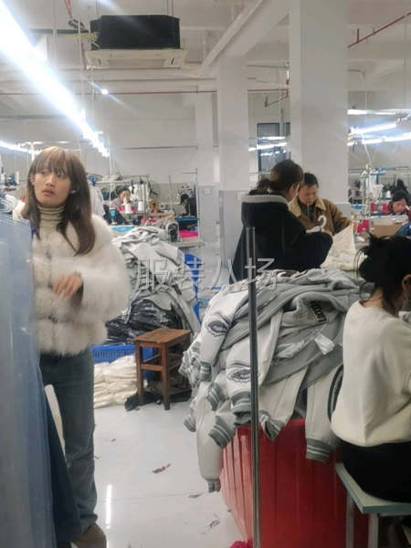 多劳多得想挣钱的欢迎-第1张图片