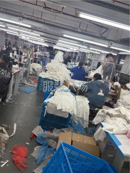 招检验两名，大烫一名，样衣工一名-第1张图片