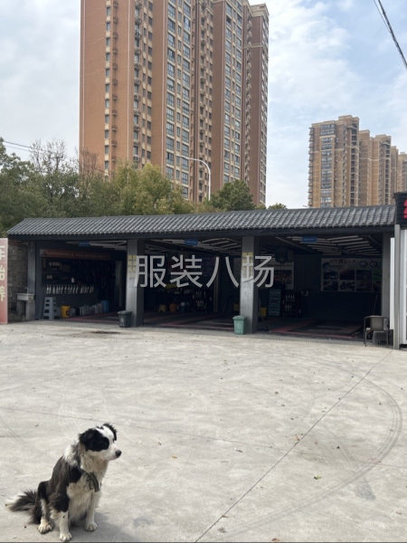 盈利店铺转让或出租，包赚钱-第4张图片