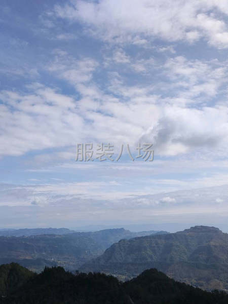 10-20人工厂寻求订单-第1张图片